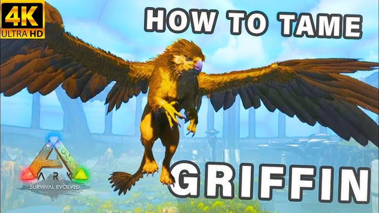 Taming griffin in ark [RAGNAROK] ARK SURVIVAL EVOLVED 