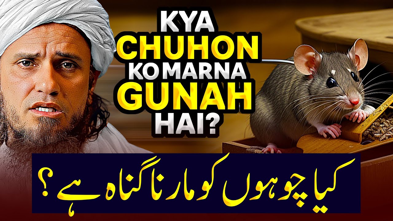 Kya Chuho Ko Marna Gunah Hai? | Ask Mufti Tariq Masood