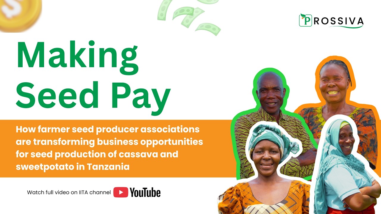 Making Seed Pay