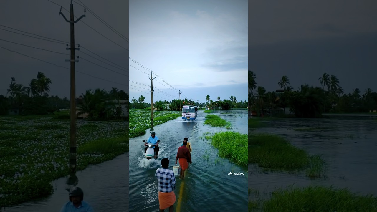 Alapuzha in monsoon#shorts #shortsvideo