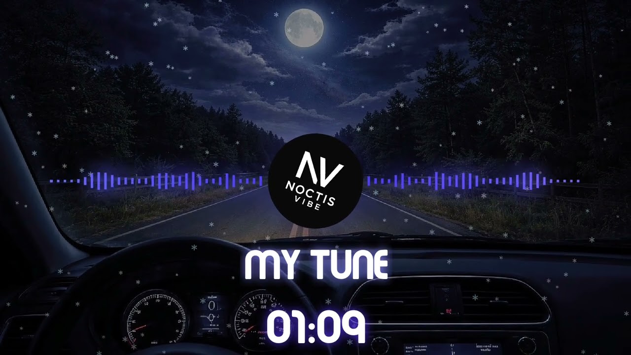 @thenoctisvibe - My Tune (Official Audio)