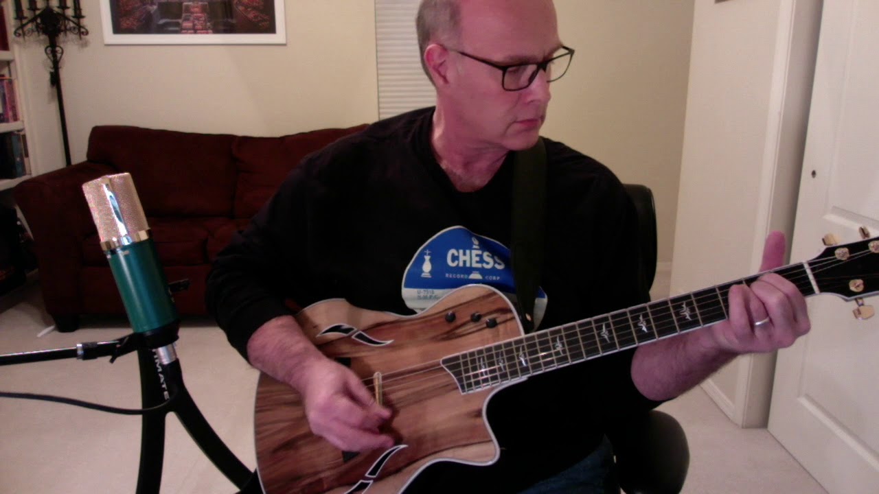 Taylor T5z Custom Limited Sassafras Demo
