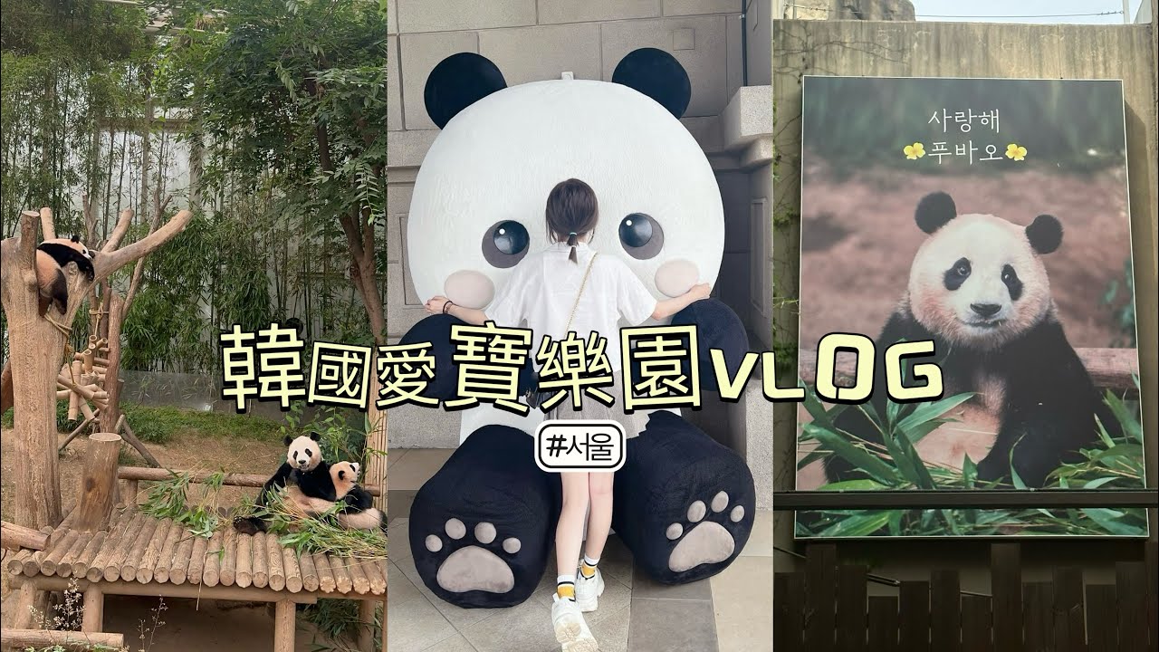 [Vlog]韓國🇰🇷｜愛寶樂園🫧終於看到寶家族啦🐼 隱藏版酷洛米🫶🏻韓國最大最好玩人氣景點✨