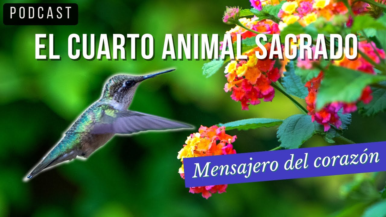 La LEYENDA del Colibrí de Oro