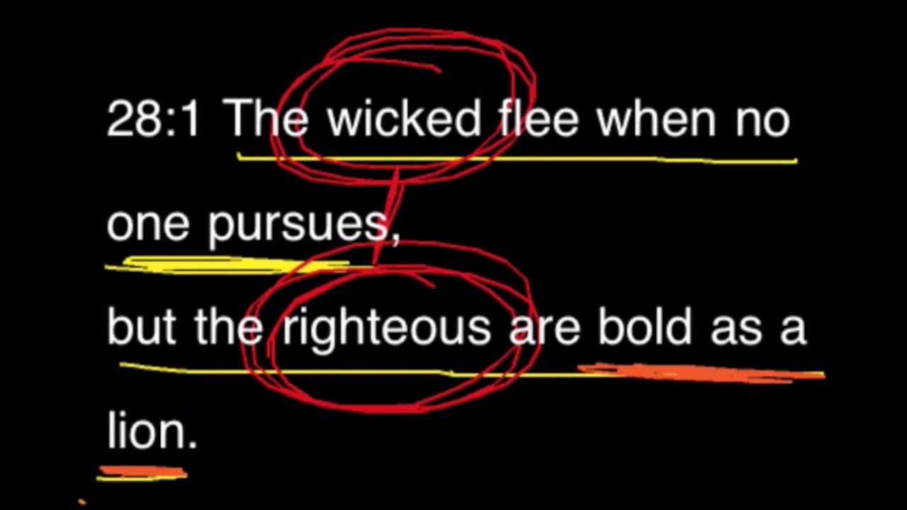Proverbs 28:1--The Righteous are Bold as a Lion
