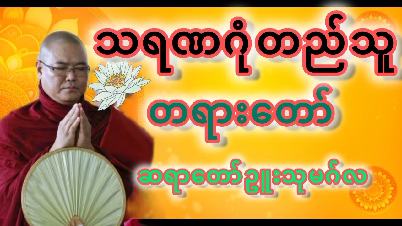သရဏဂုံတည်သူ🪷ဥူးသုမဂ်လ #တရားတော်များ #တရားတော် 