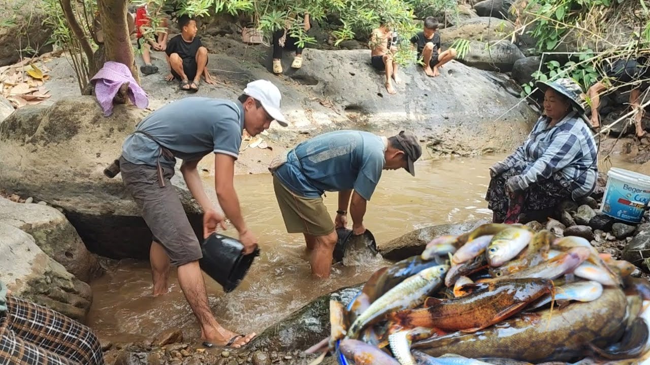 cais ntses leev thiab daus ntses toj siab 19/2/2023