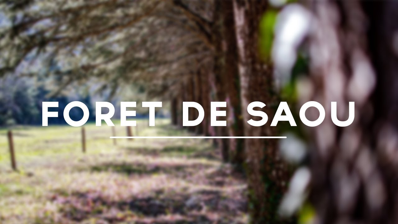 FORÊT DE SAOU - CINÉMATIQUE VIDÉO - Mavic2 PRO
