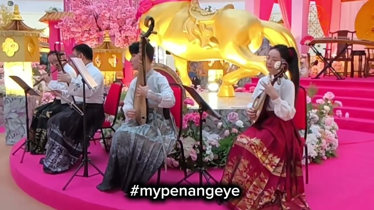 Señorita – Live Cover | The Joyous Chinese Orchestra at Sunshine Central | Chinese New Year 2026