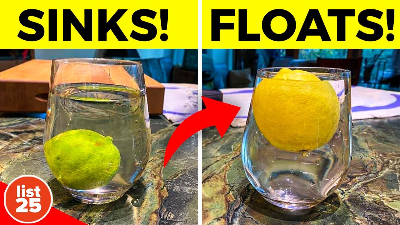 100 фактов, которые вы не узнали в школе