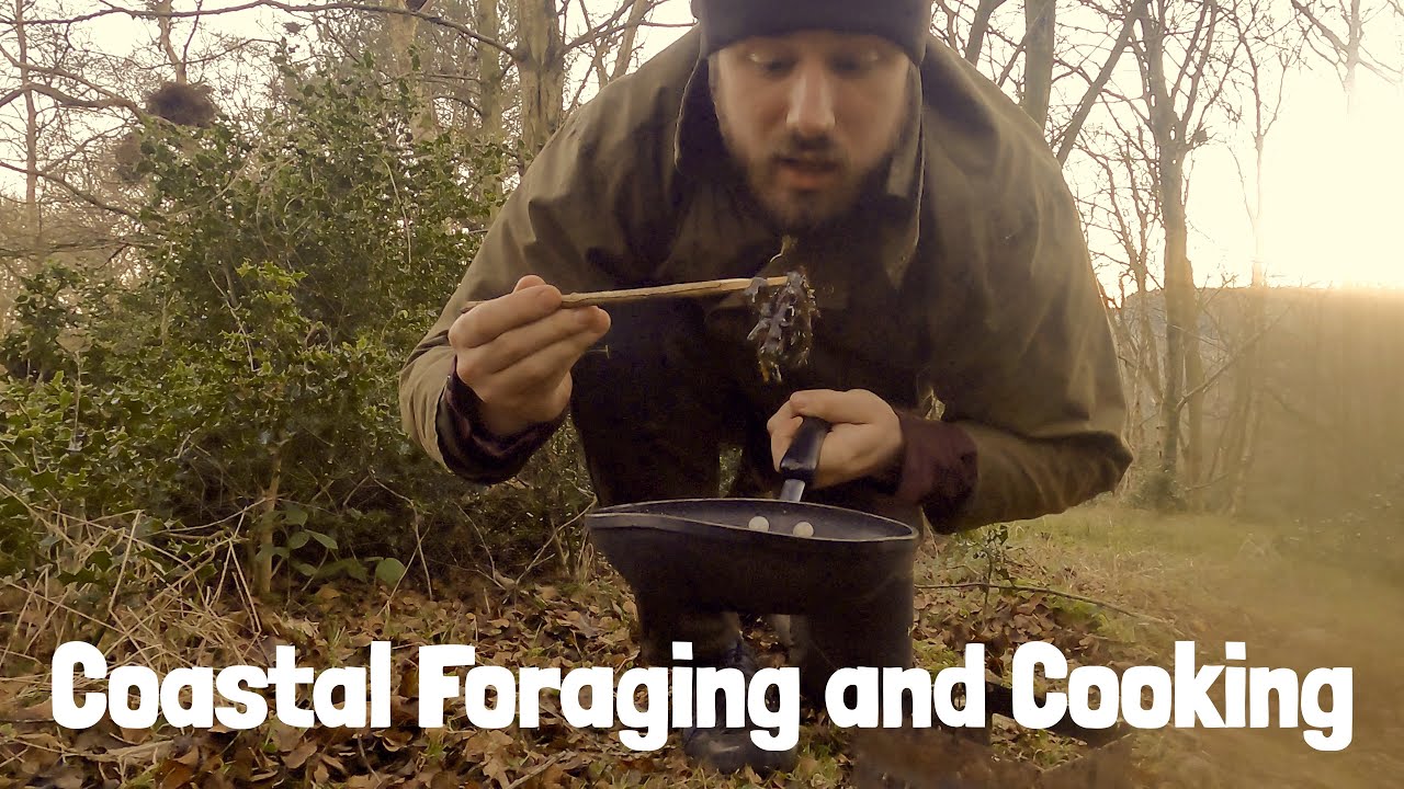 Winter Coastal Foraging in Robin Hood's Bay - Limpets, Winkles, Seaweed and more!