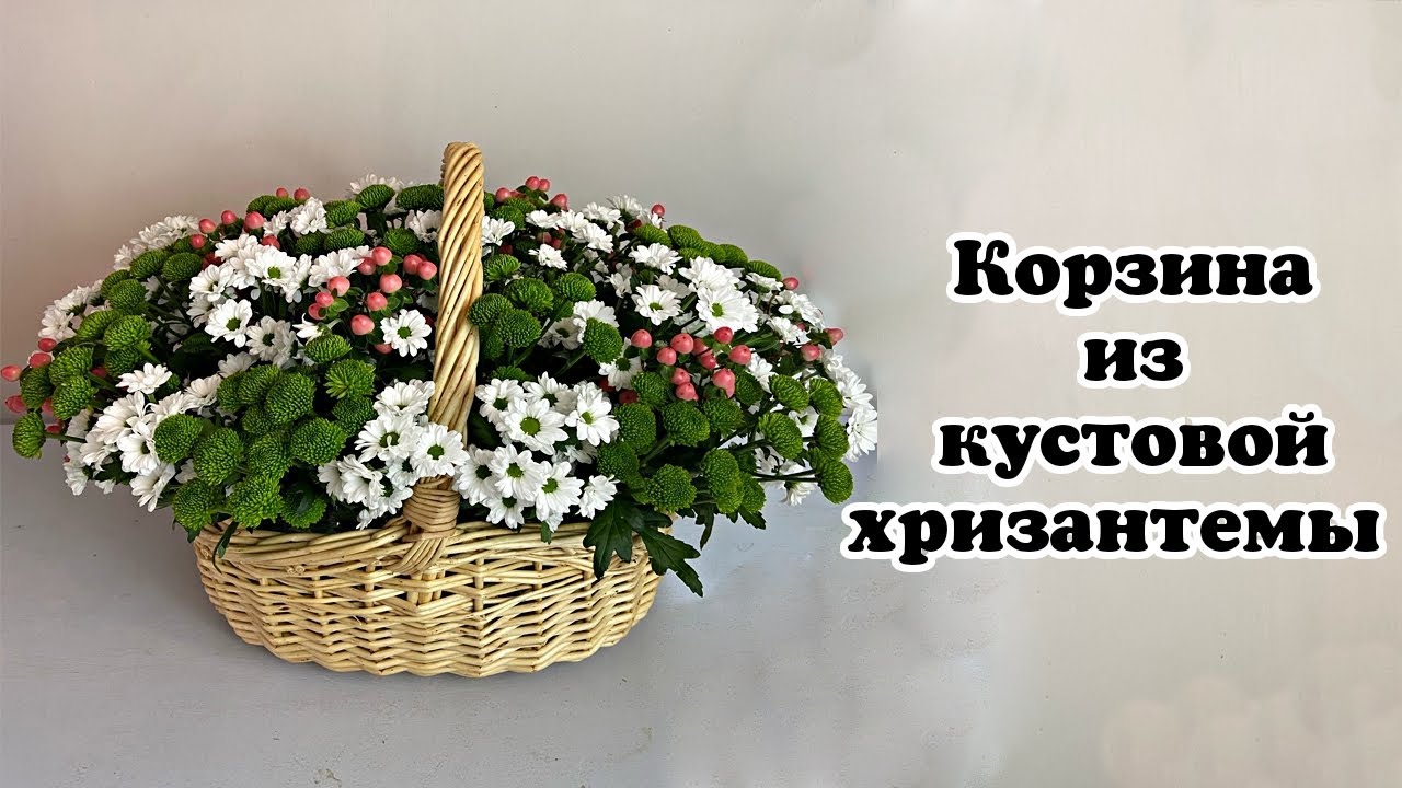 Корзина из кустовой хризантемы. Флористика