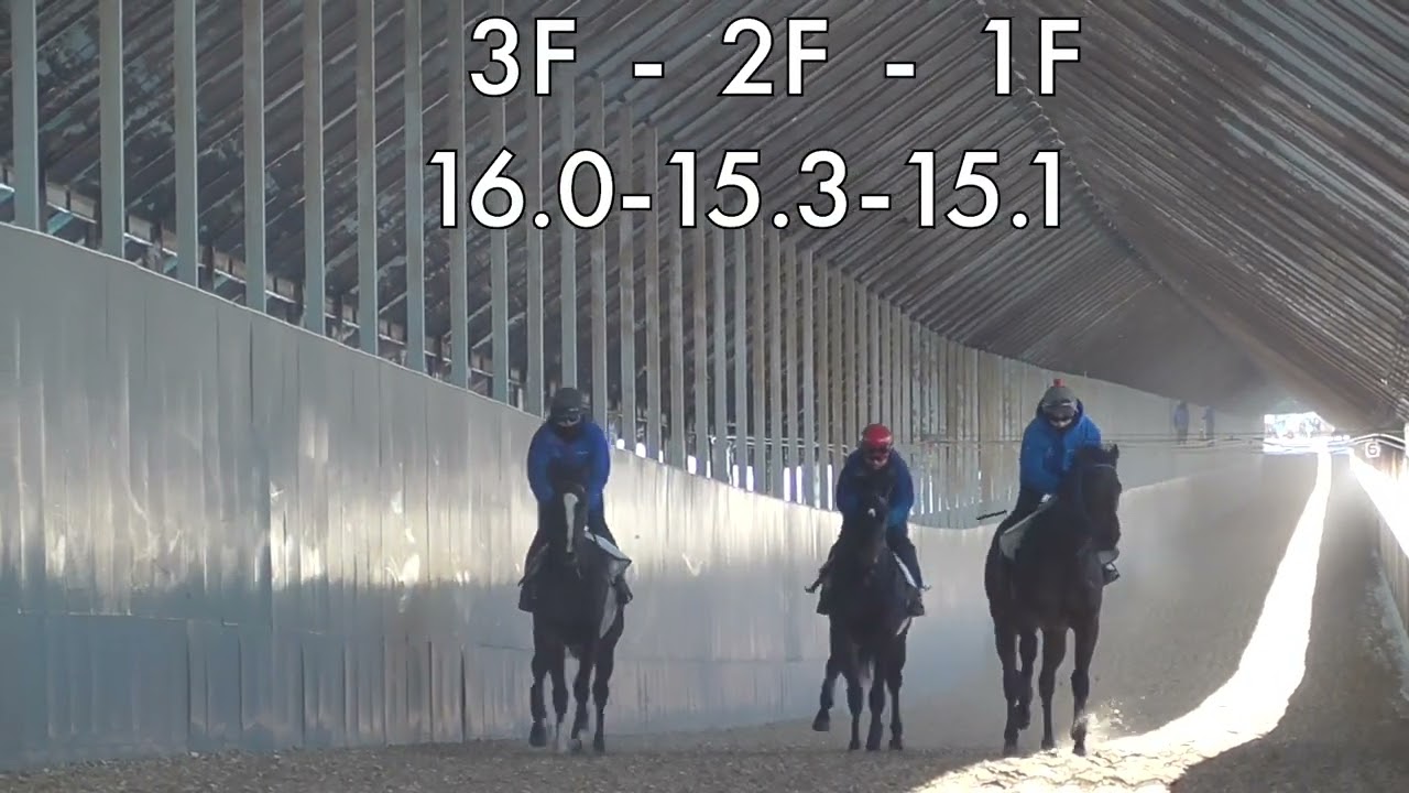 【株式会社エクワインレーシング】ヒメベニサクラ24  調教 坂路 2026/1/21撮影【調教動画】