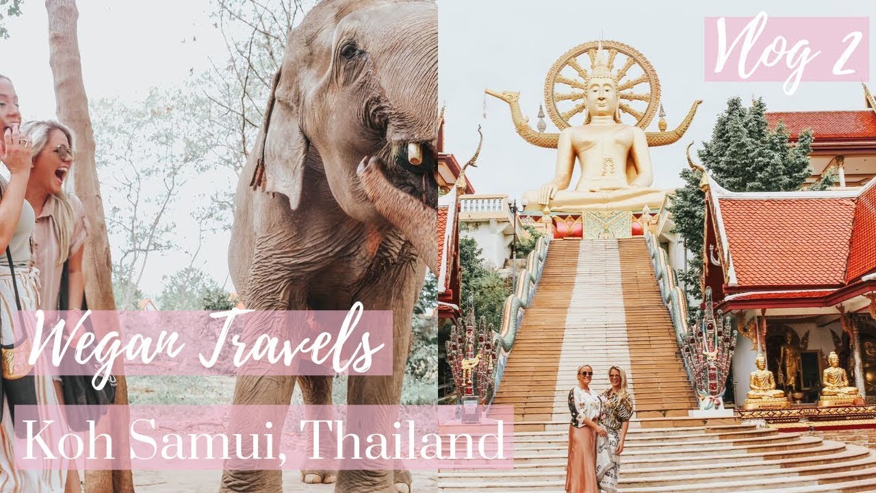 ELEPHANTS & TEMPLES | Wegan Travels Thailand | VLOG 2 | Lesbian Couple