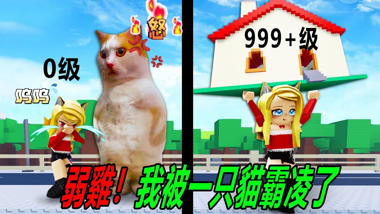 慘了！樂兒被一只貓霸凌了，為了打敗貓霸，我要強壯！……NEED MORE STRENGTH💪🏼 | ROBLOX