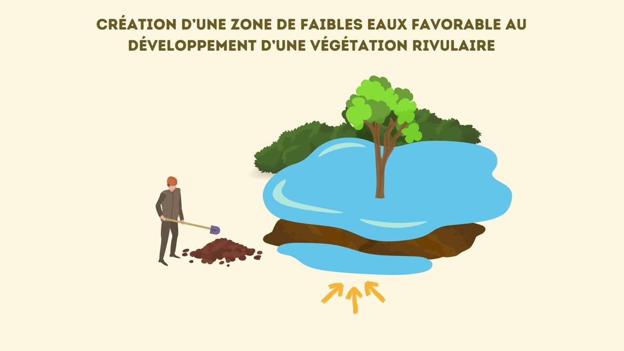 Le Lot restaure des mares au bénéfice de la biodiversité