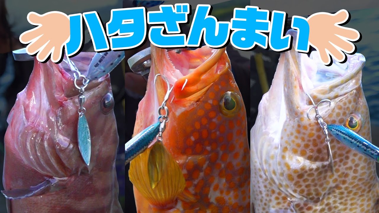 【ヒロセマンTV】釣りすぎ注意！ショアスローで腕パンパン！ロックフィッシュゲーム！