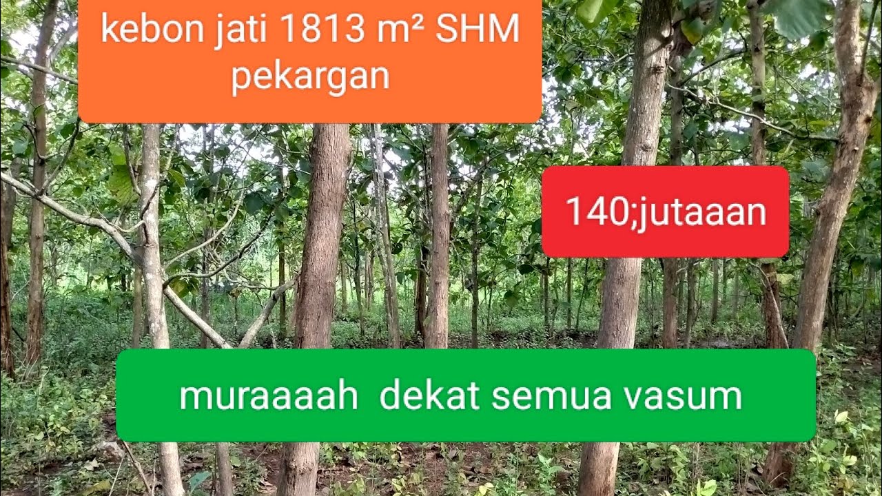 ✓KEBON jATi  1813 m² harga drooooop@YbProperty-v4x 