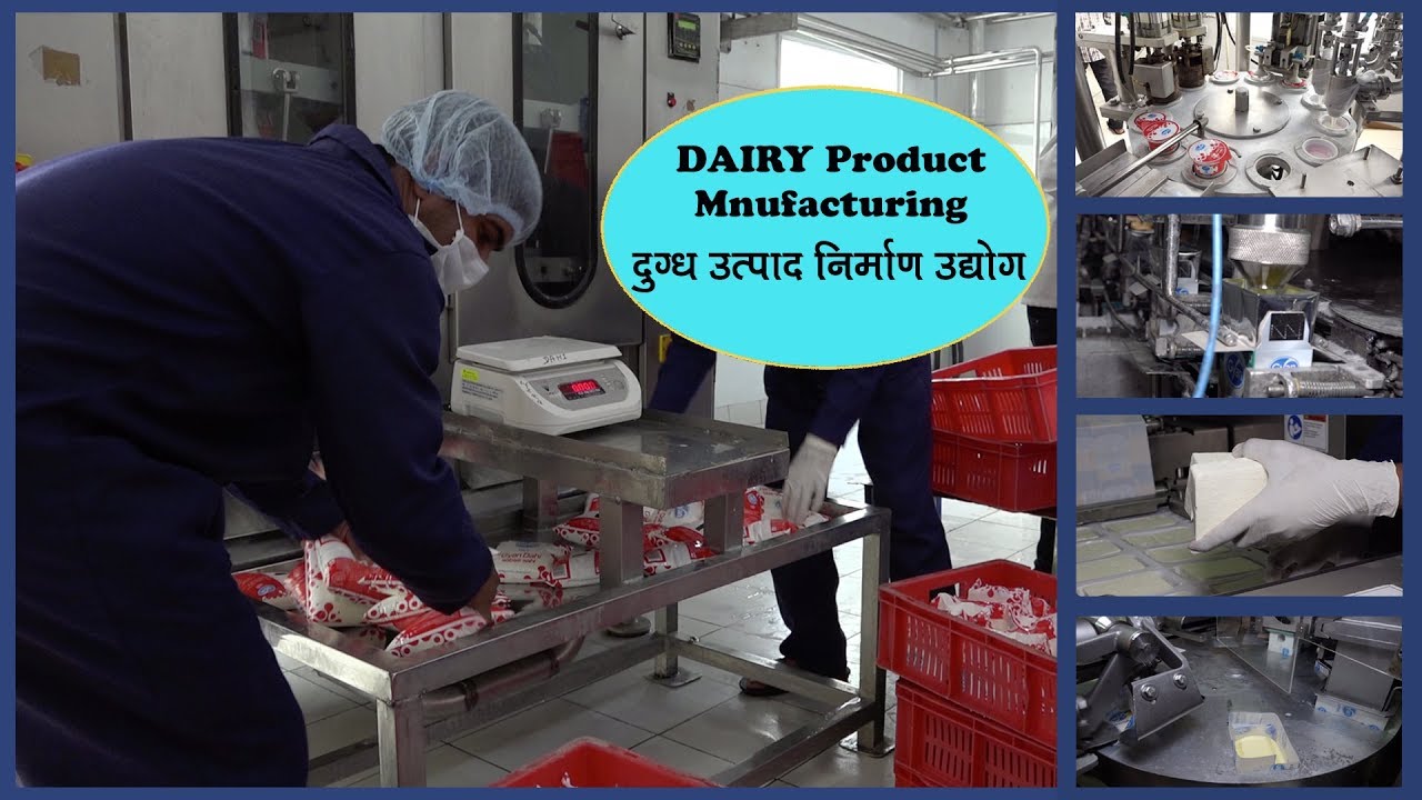 Gyan Dairy