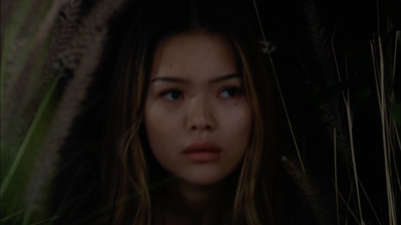 Bold and the Beautiful - Look Ahead to November 17 to November 21, 2025