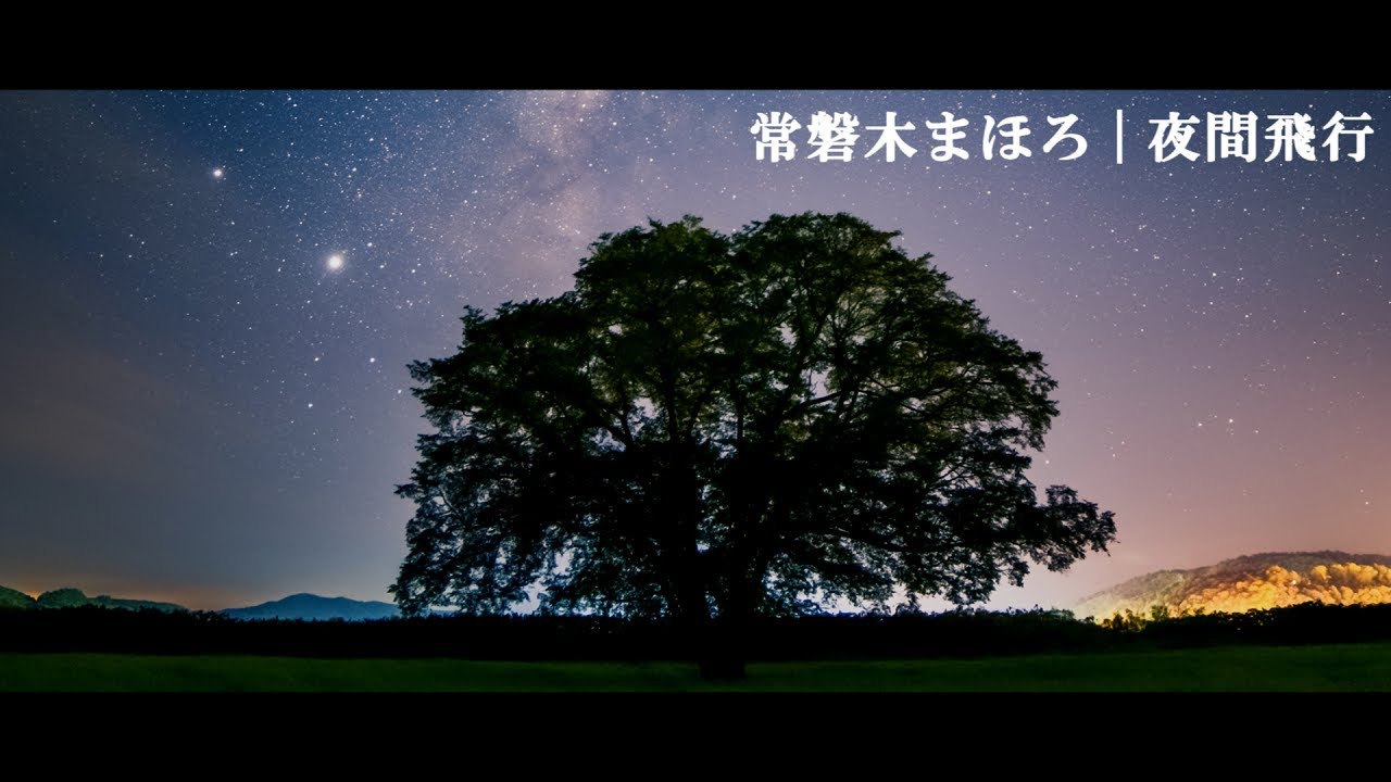 常磐木まほろ - 夜間飛行