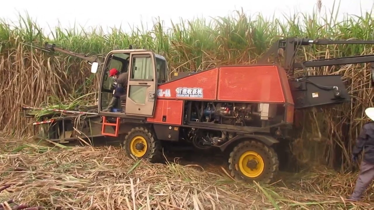 Sugarcane harvester by JingGong whole stalk type harvesting capacity 10 Ton per hour