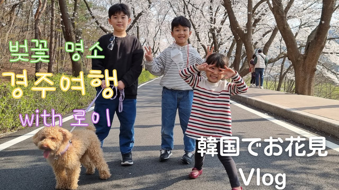 [3남매 한일부부의 한국생활] 경주 여행 / 벚꽃,  차, 사람구경 실컷하기 / 성동시장에서 분식 포장해 황성공원 나들이 / 김유신장군묘 / 대릉원 돌담길