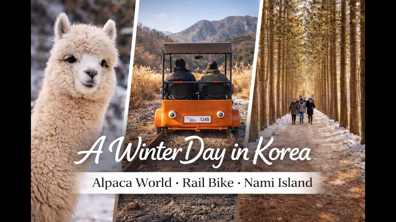 A Winter Day in Korea | Alpaca World • Rail Bike • Nami Island