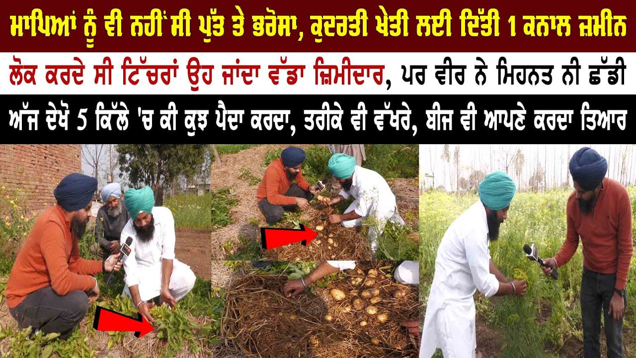 ਲੋਕ ਕਰਦੇ ਸੀ ਟਿੱਚਰਾਂ, ਔਹ ਜਾਂਦਾ ਵੱਡਾ ਜ਼ਿਮੀਦਾਰ, ਵੀਰ ਨੇ ਕੁਦਰਤੀ ਖੇਤੀ ਕਰਕੇ 1 ਕਨਾਲ ਤੋਂ ਬਣਾ ਲਏ 5 ਕਿੱਲੇ