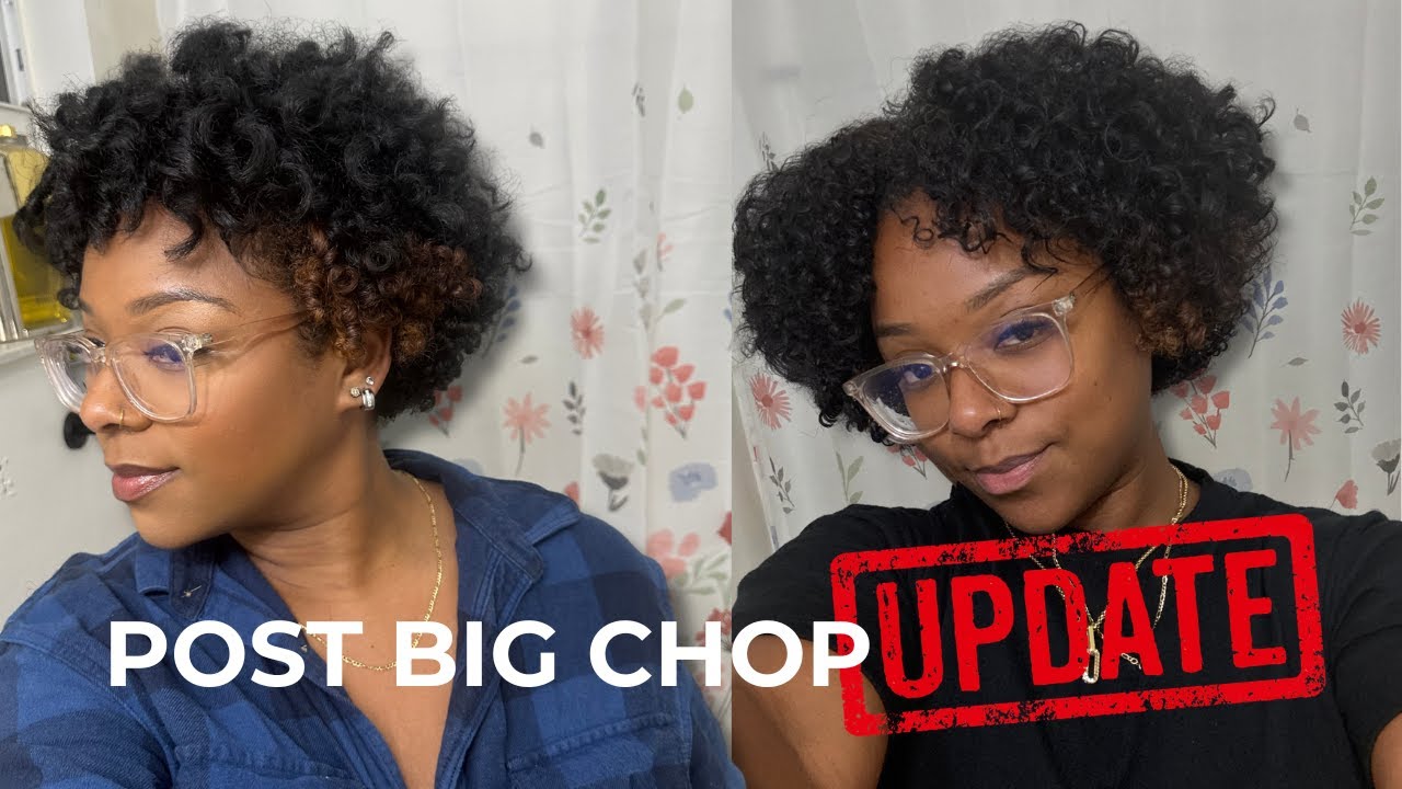 4 Months Post Big Chop… Here’s the Truth.
