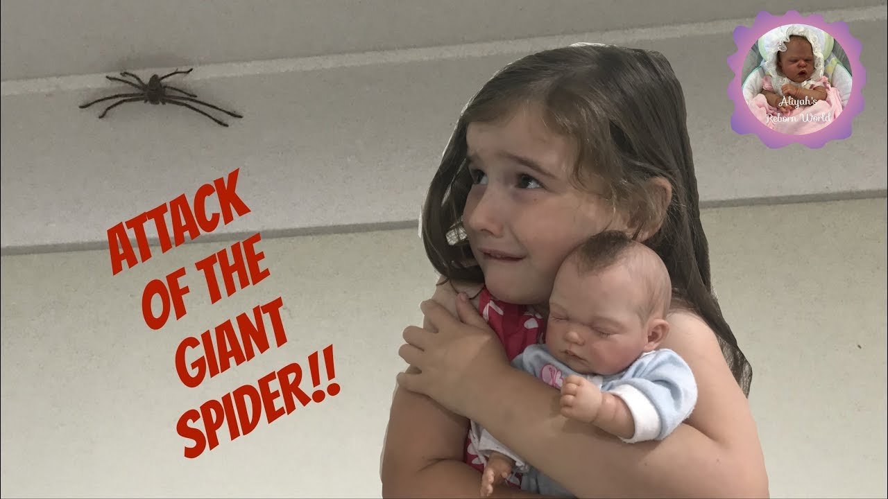 ATTACK OF THE GIANT SPIDER!!