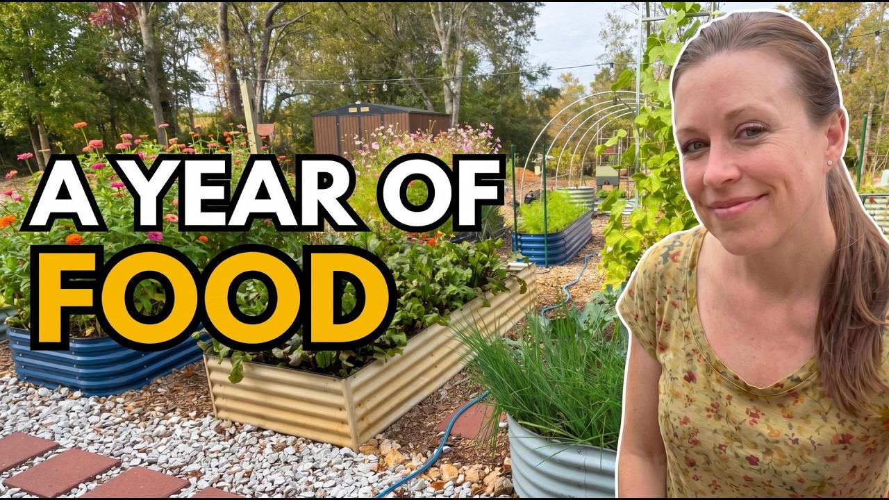 My 1,000 Sq Ft Garden Grows a Year&rsquo;s Worth of Food - Here&rsquo;s How!