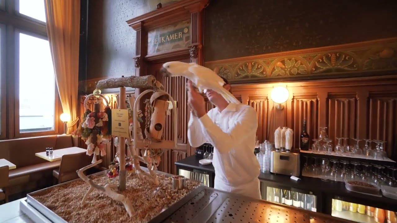 Grand Caf&eacute; Restaurant 1e Klas Promo