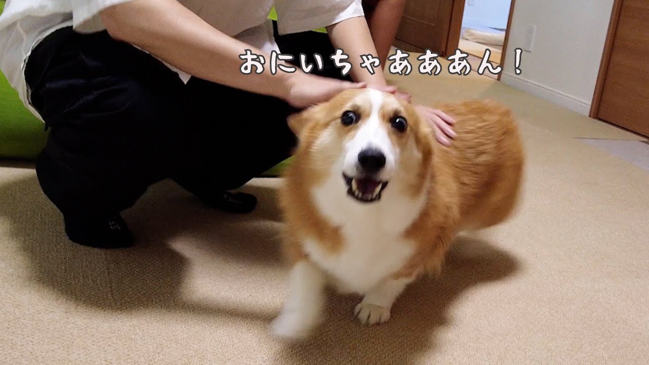 【長男帰省中】久しぶりの見送り業務！