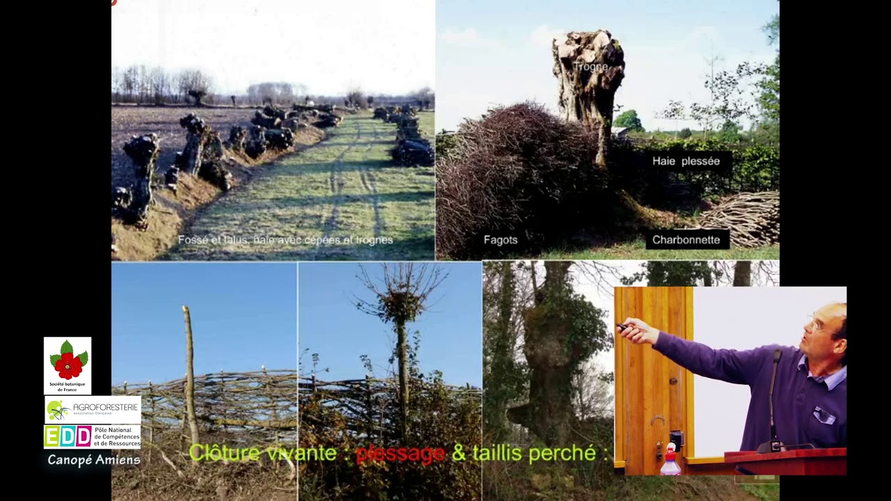 Dominique Mansion - Les trognes, inventées par et pour les agriculteurs !