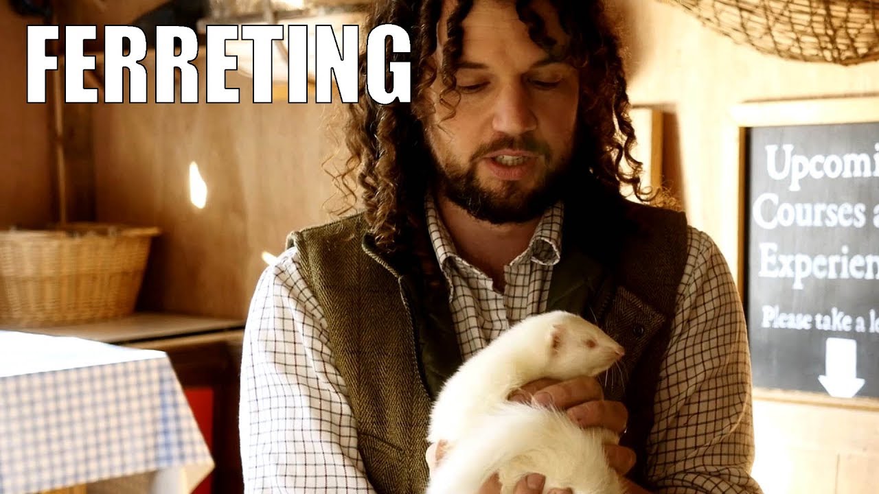 Ferreting