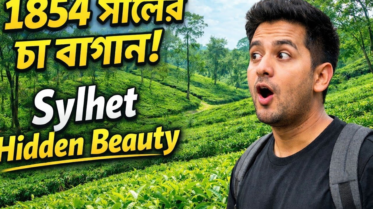 🌿 এই চা বাগানে ঢুকলেই মন শান্ত হয়ে যায় | Tea Garden Vlog Bangladesh