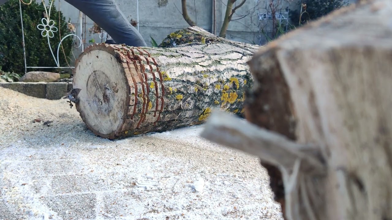 Solo 681 & Stihl 044  /440