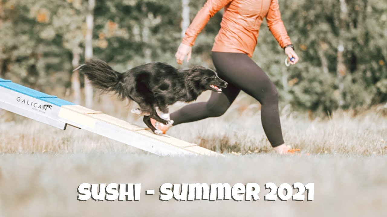 Enya Habel & Sushi Highlights Summer -21