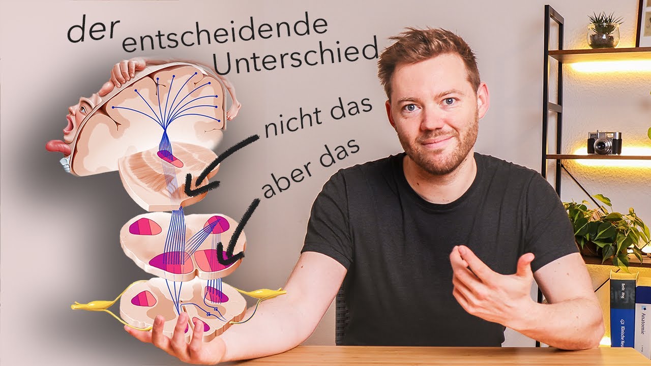 Pyramidenbahn (vs. Extrapyramidal) - Verlauf und Funktion