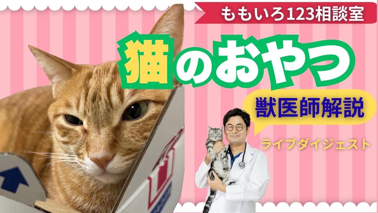 ももいろ123相談室ダイジェスト・猫のおやつ&ダイエット編　#獣医師 #ねこのいる暮らし #猫のいる生活 #ねこ