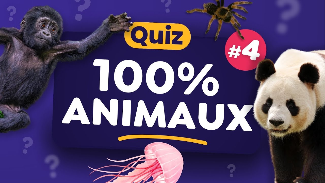 QUIZ Spécial sur les Animaux #4  - 30 Questions