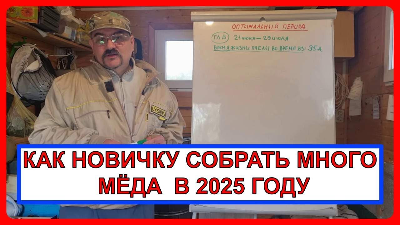 🔥 Вы хотите собрать много мёда? - Тогда это видео для Вас! Пчеловодство для начинающих 2025🔥