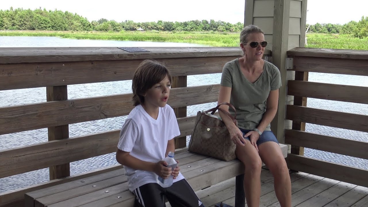 Green Cay Wetlands Nature Preserve Delray Boynton Beach Florida in 4K