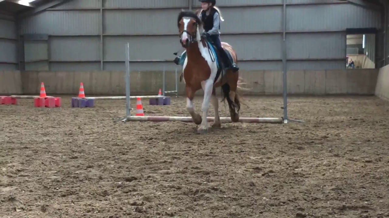 Springles met Falco