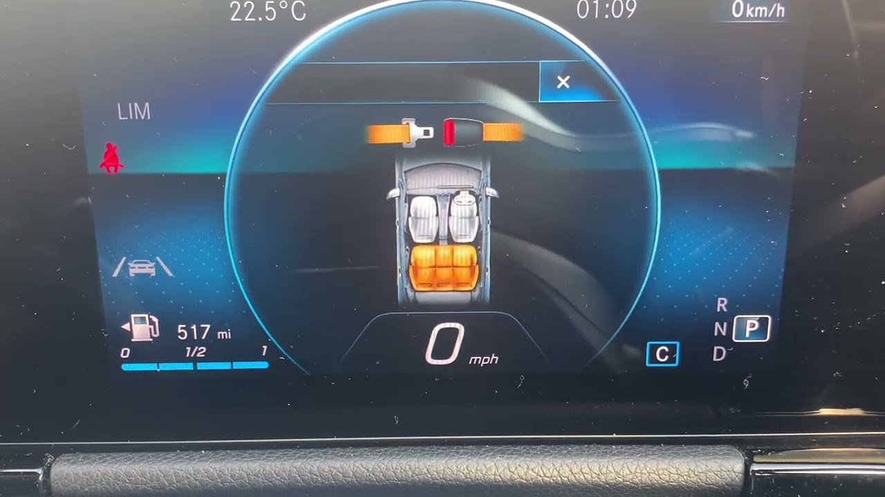 Ampire Immobiliser