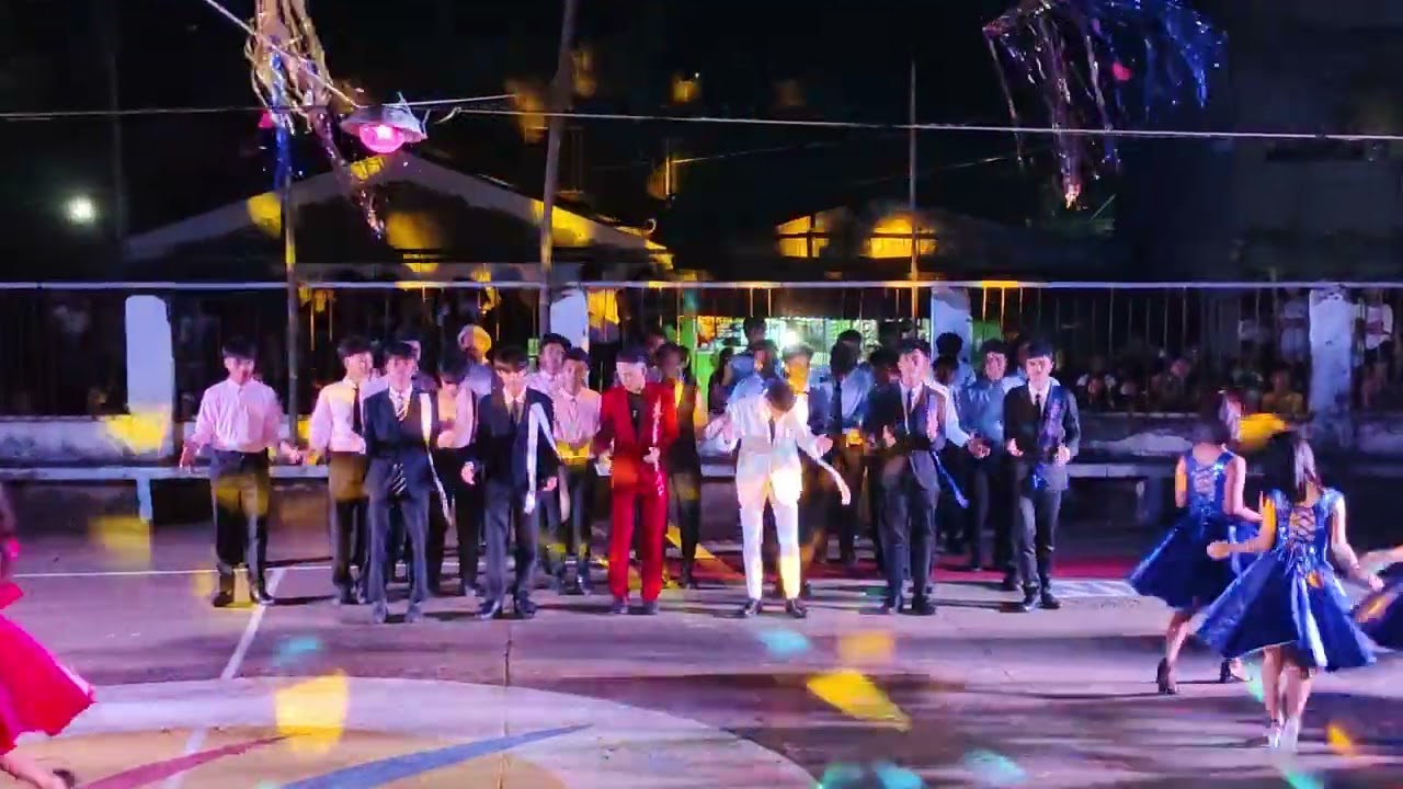 ANHS JS PROMENADE 2024
