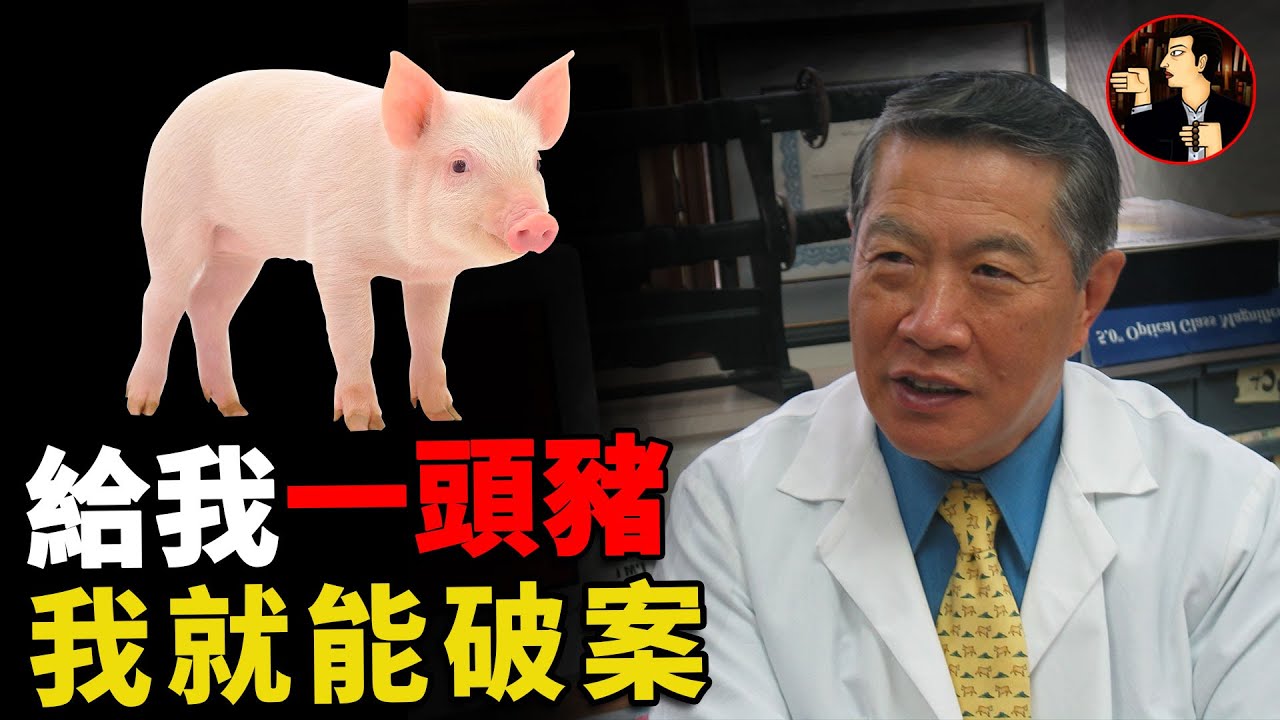 【李昌鈺系列】李昌鈺最難忘的案件，一場近乎完美的犯罪，李昌鈺憑藉一頭豬一戰成名 | 兩年前的作品