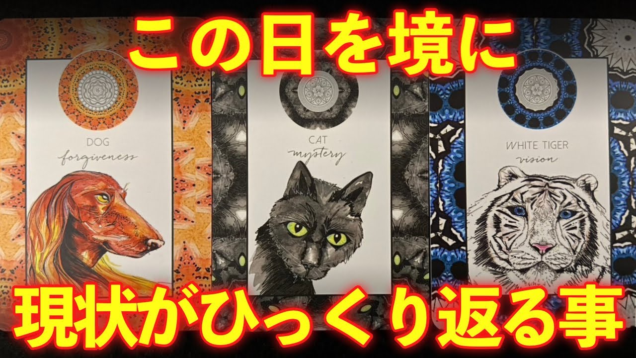 【天赦日🌈】3月5日は4つの吉日が重なる奇跡の日。この日を境に現状がひっくり返ります‼️