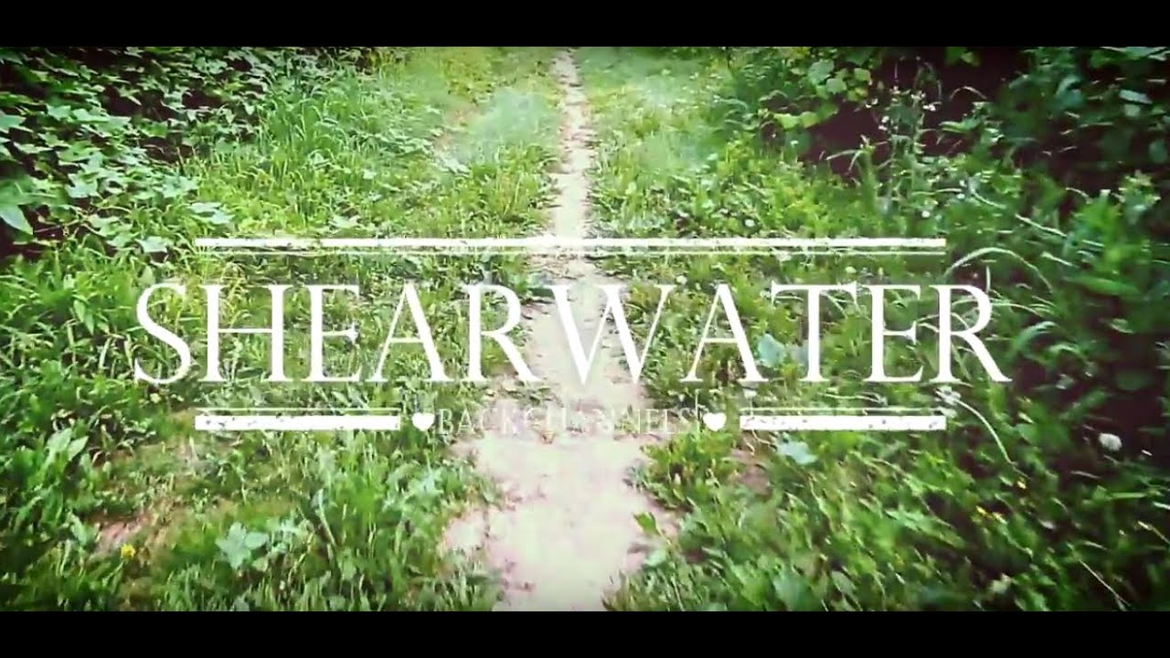 Shearwater - Backchannels (Lyrics Video)